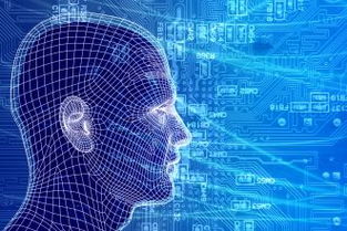 199it 發(fā)現(xiàn)互聯(lián)網(wǎng)數(shù)據(jù)的價值